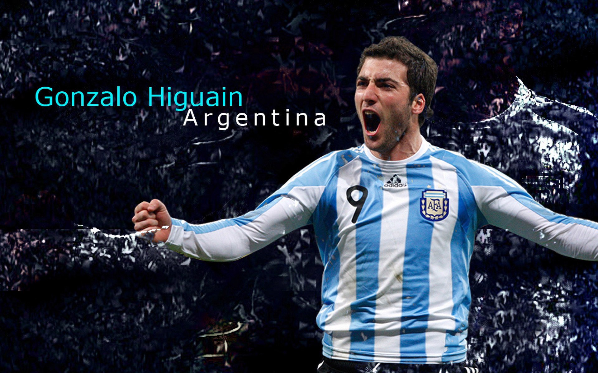 日本骑手吉塔·日特科维奇荣获2024年最佳障碍赛骑手奖,表彰其卓越表现。