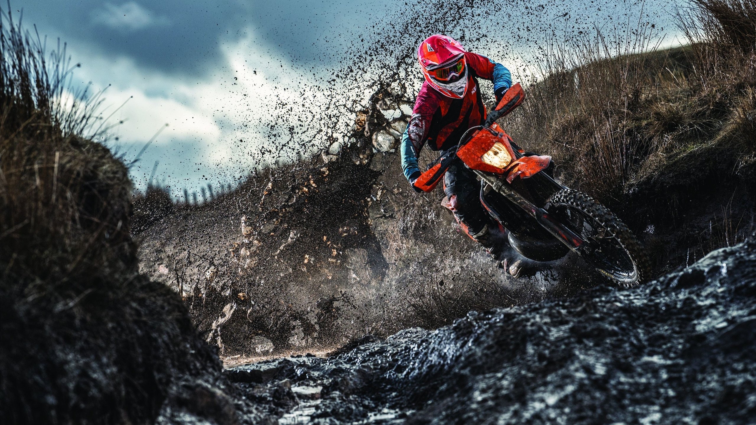 电竞主题公园落成，打造沉浸式体验空间，电竞馆即将完工